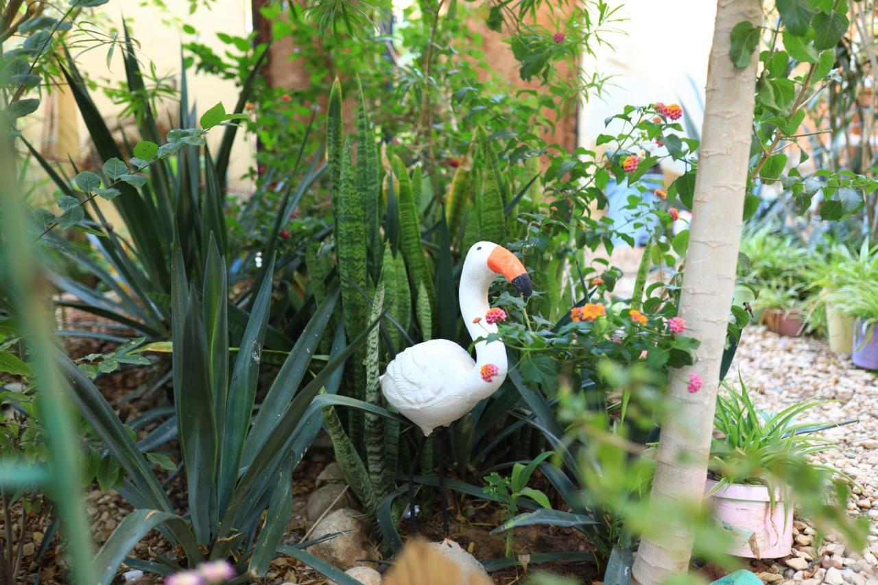 Appartement Luxor Nile View Flats Extérieur photo