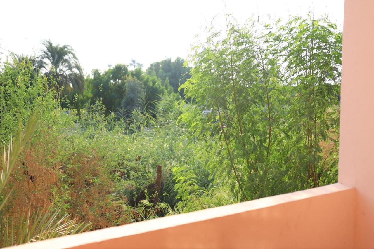 Appartement Luxor Nile View Flats Extérieur photo
